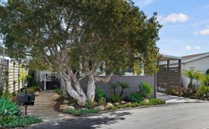 Large Modular Homes