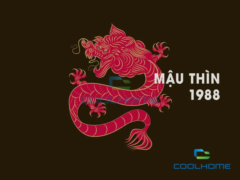 Tuổi Mậu Thìn (1988) hợp hướng nào?