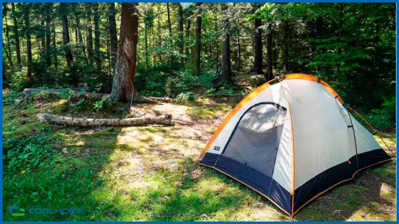Thuê lều camping giúp bạn tiết kiệm chi phí cho chuyến đi