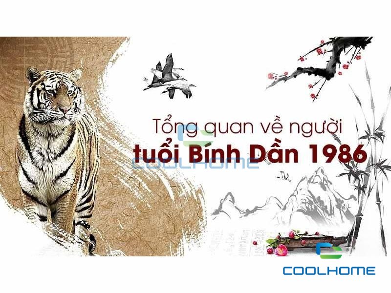 Tổng quan về tuổi Bính Dần 1986