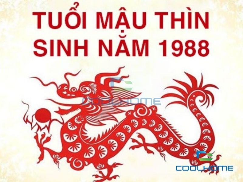 Tổng quan về người tuổi Mậu Thìn