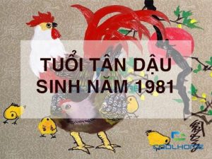 Tổng quan về người tuổi Tân Dậu 1981