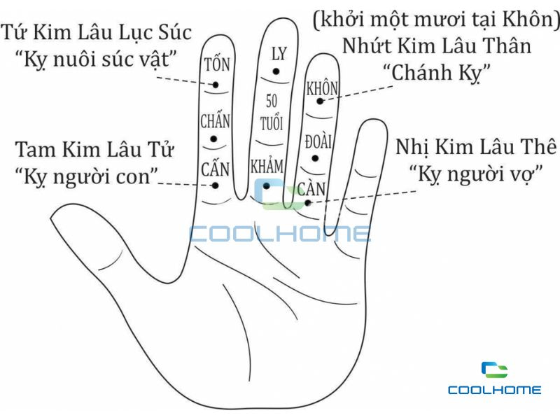 Gia chủ tuổi Nhâm Thân làm nhà năm 2025 gặp phải Kim Lâu Súc