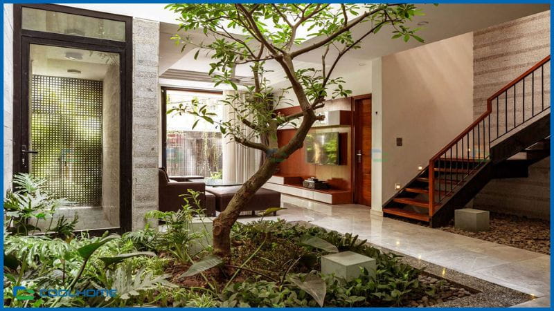 Tiểu cảnh nước giúp điều hòa không khí và tăng sự sinh động cho vườn