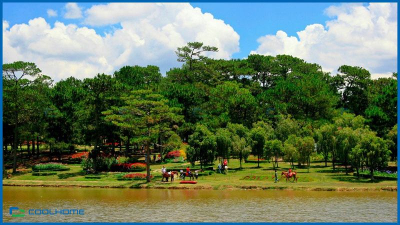 Khu vực đồi núi và rừng thông