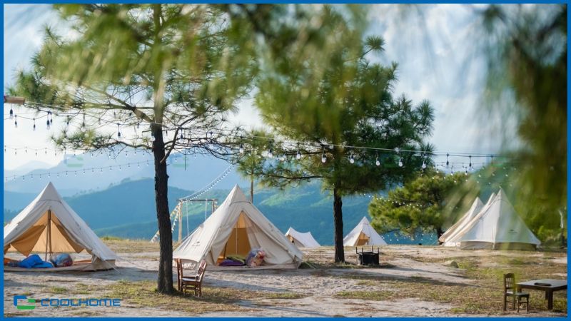 Lều tam giác glamping không chỉ để ở mà còn là điểm nhấn nghệ thuật giữa thiên nhiên