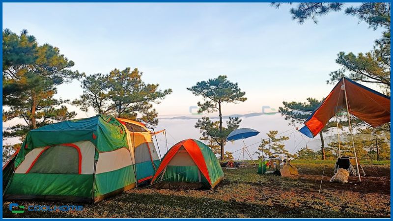Thuê lều cắm trại Đà Lạt là cách tuyệt vời để tìm lại sự cân bằng