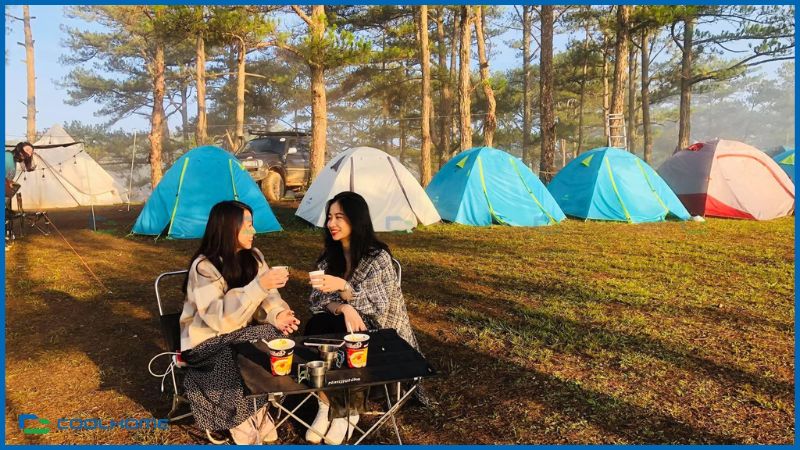 Thuê lều cắm trại Đà Lạt là lựa chọn phù hợp cho những ai muốn đi phượt nhẹ