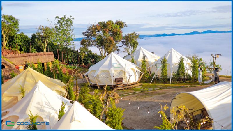 Top du lịch nổi tiếng Dalat Camp