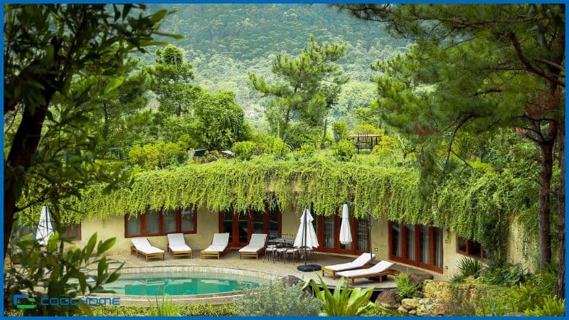 Amaya Retreat mang đến không gian yên bình lý tưởng