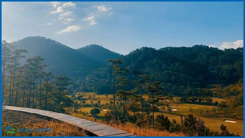The Wilder-nest Ba Vì là khu glamping kết hợp nhà di động